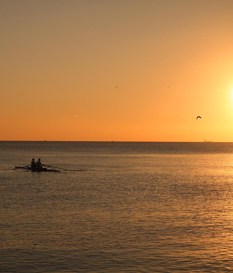 Rowing Tours New Zealand