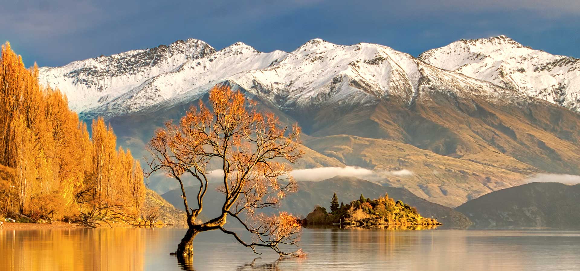 Rowing Tours New Zealand